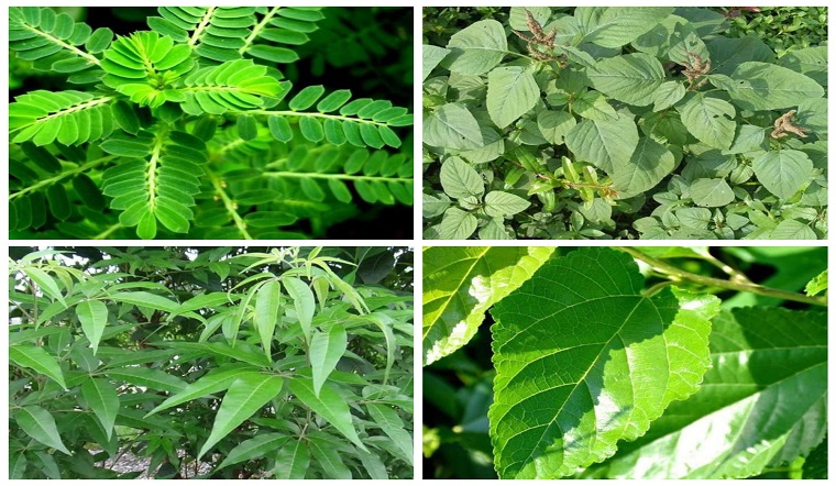 la-tam-cho-tre-so-sinh-an-toan-diu-nhe-lan-da