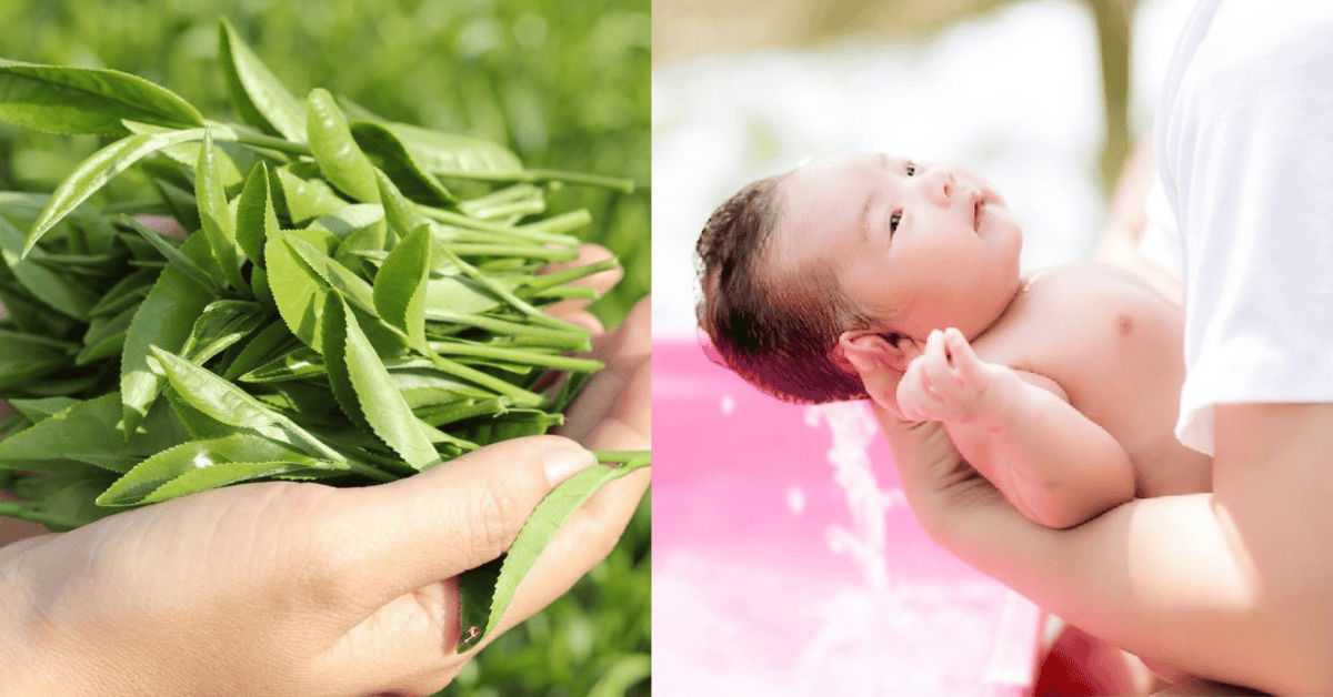 tam-la-che-xanh-cho-be-so-sinh